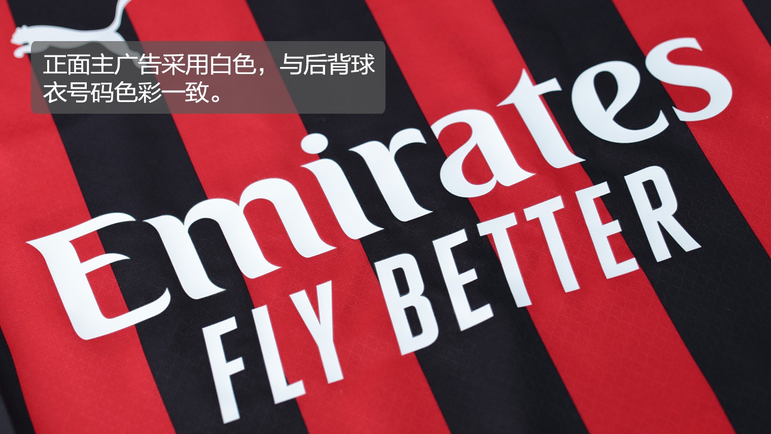 人物与角色 人物与角色